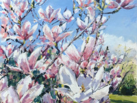 Bournville Magnolia