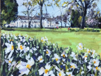 Rowheath White Daffodils