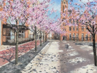 Oozells Square, Pink Blossom