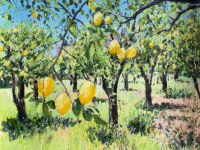 Lemon Groves of Sorrento