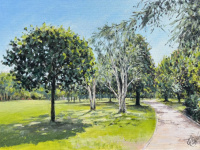 Summertime at Kings Heath Park