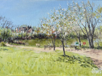 Blossom at Moseley Park