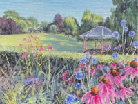 Summers Evening at Birmingham Botanical Gardens