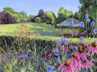 Summers Evening at the Birmingham Botanical Gardens