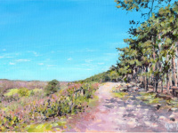 Spring at the Lickeys