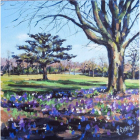 Rowheath Crocuses