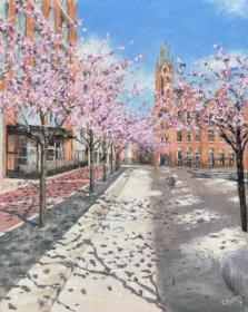 Blossom Trees at Oozells Square